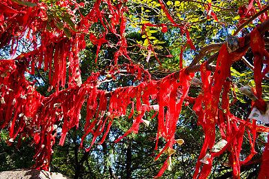 《上行战场》新DLC“赛博战士包” 全新二周目内容上线Steam